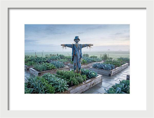 Kitchen Garden Guardian