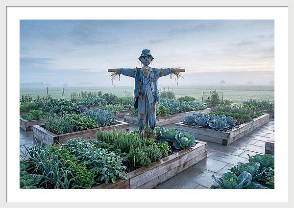 Kitchen Garden Guardian
