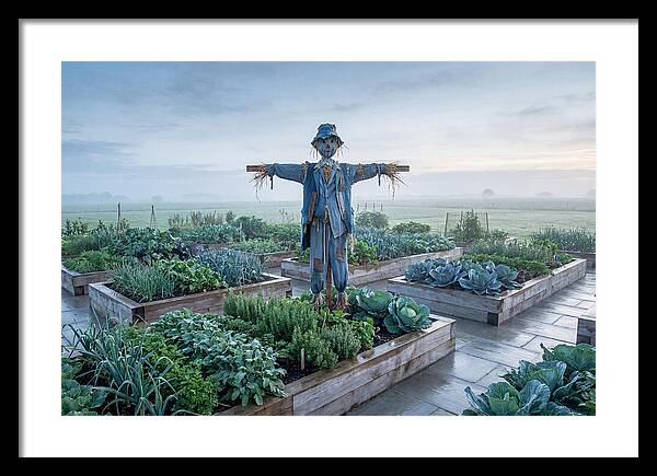 Kitchen Garden Guardian
