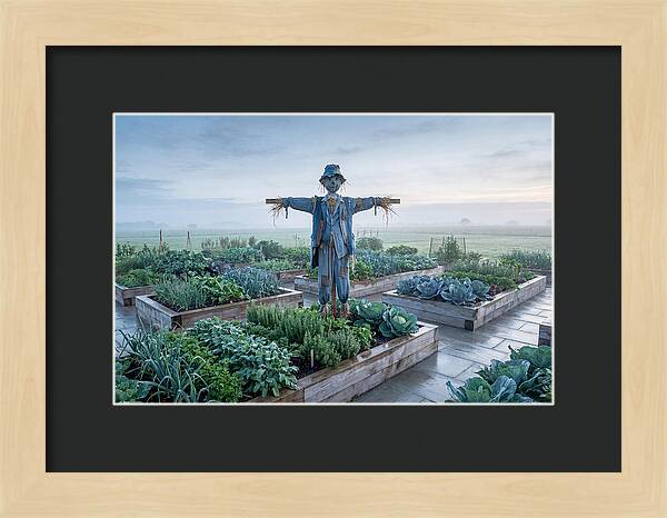Kitchen Garden Guardian