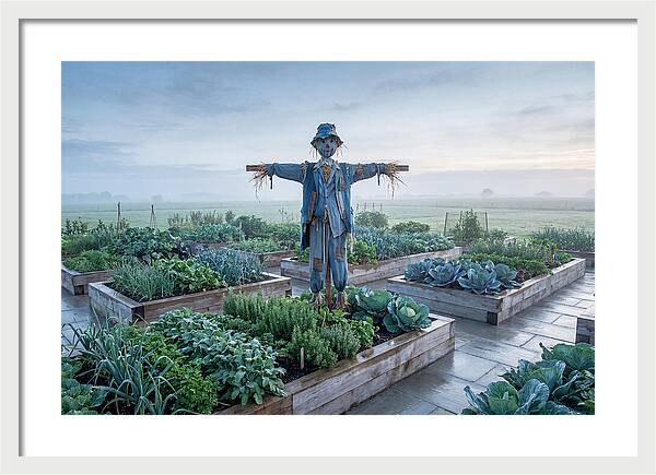 Kitchen Garden Guardian