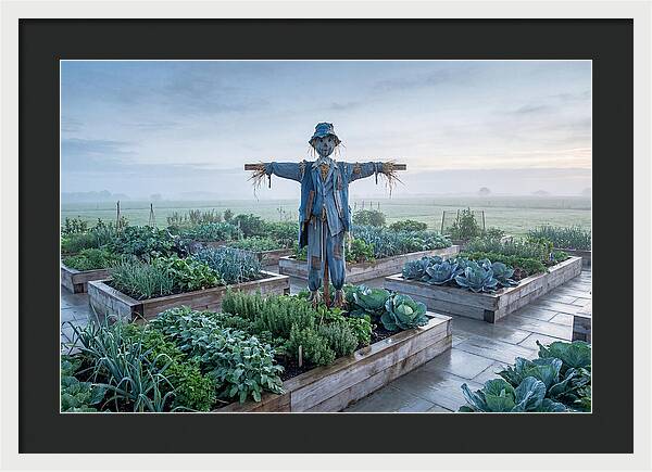 Kitchen Garden Guardian