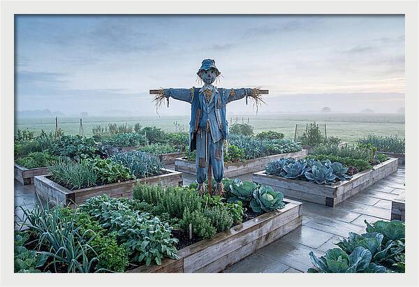 Kitchen Garden Guardian
