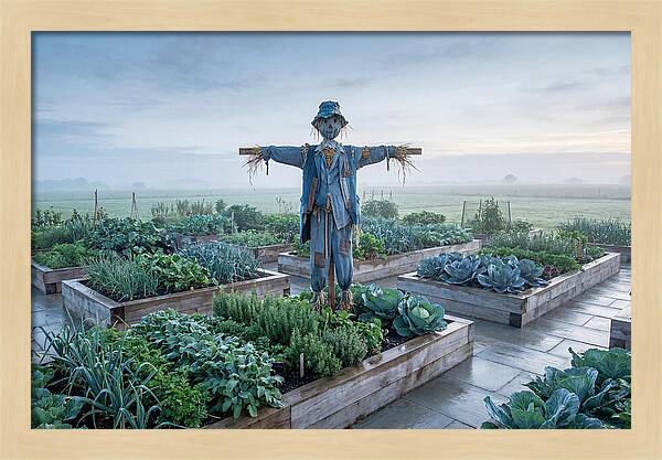 Kitchen Garden Guardian