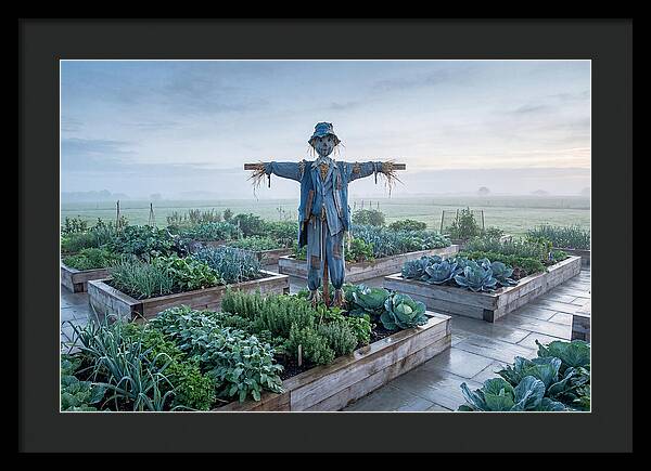 Kitchen Garden Guardian