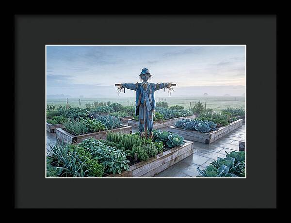 Kitchen Garden Guardian