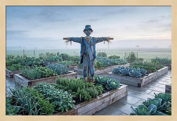 Kitchen Garden Guardian