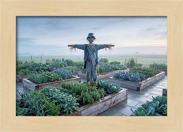 Kitchen Garden Guardian