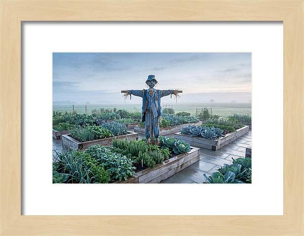 Kitchen Garden Guardian