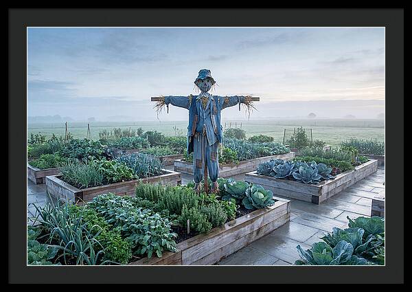 Kitchen Garden Guardian