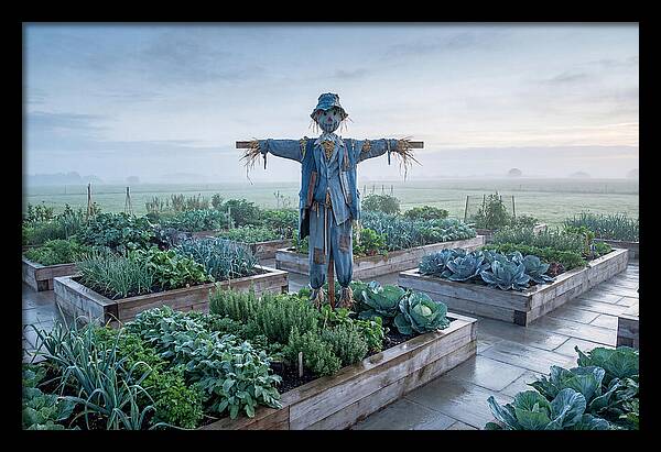 Kitchen Garden Guardian
