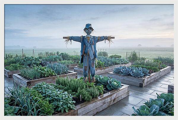 Kitchen Garden Guardian