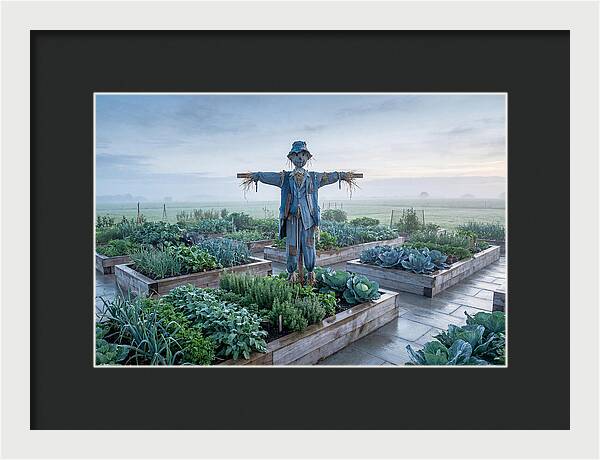 Kitchen Garden Guardian