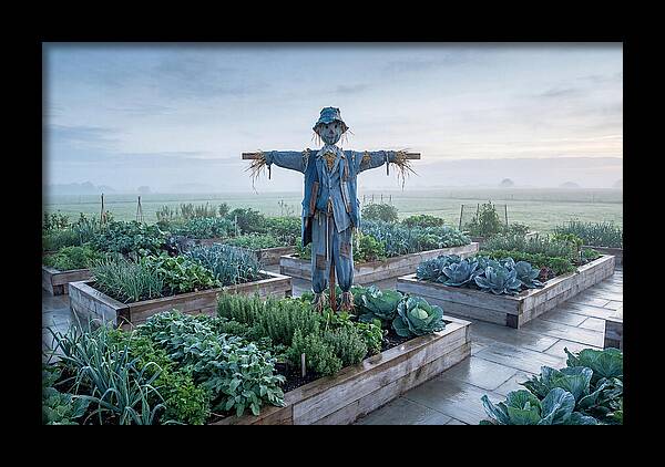 Kitchen Garden Guardian