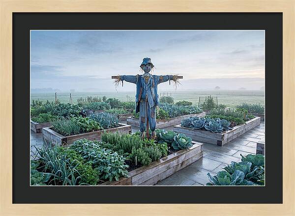 Kitchen Garden Guardian