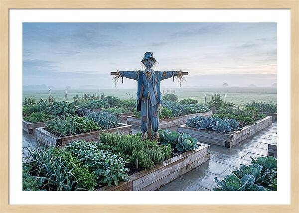 Kitchen Garden Guardian