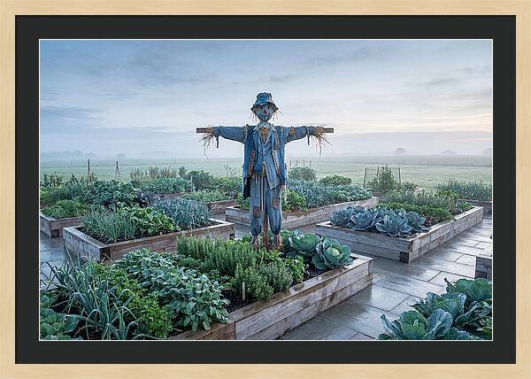 Kitchen Garden Guardian