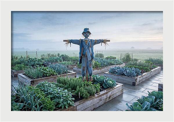 Kitchen Garden Guardian