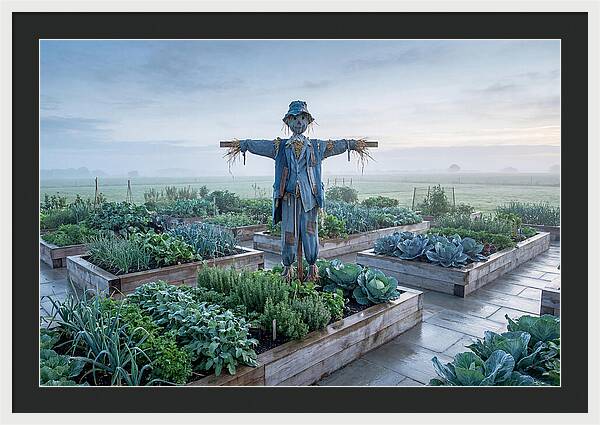 Kitchen Garden Guardian