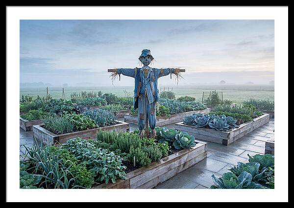 Kitchen Garden Art
