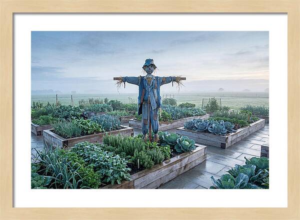 Kitchen Garden Guardian