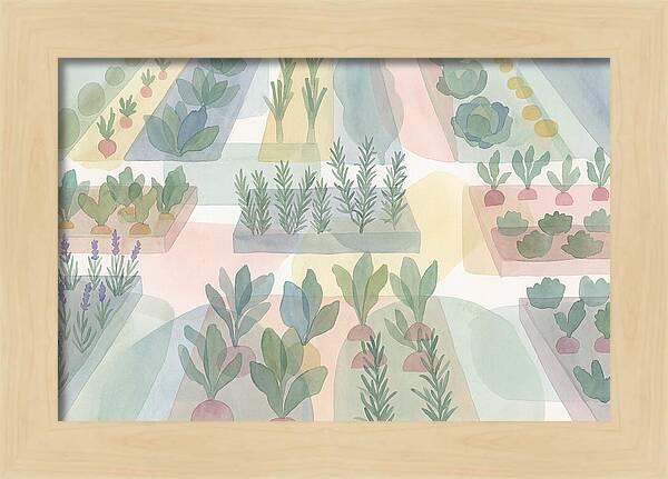 Kitchen Garden Serenity