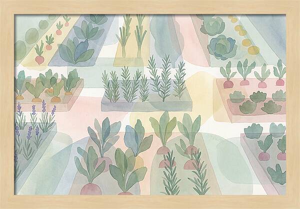 Kitchen Garden Serenity