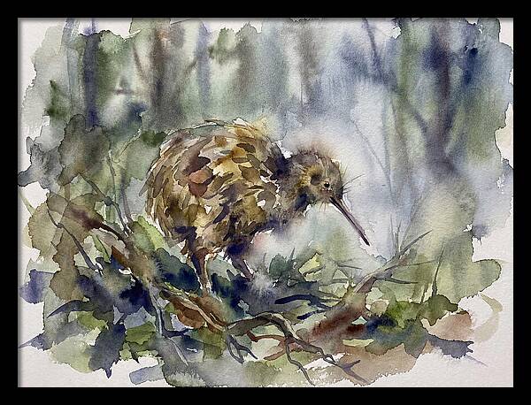Kiwi Amongst The Foliage
