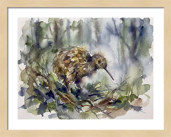 Kiwi Amongst The Foliage