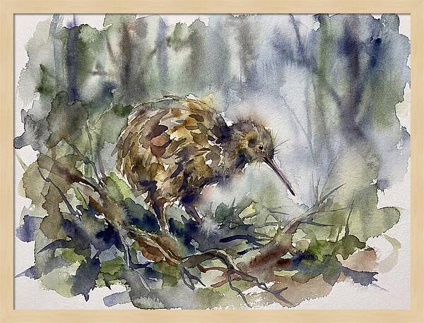 Kiwi Amongst The Foliage