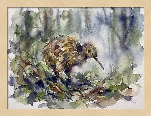 Kiwi Amongst The Foliage