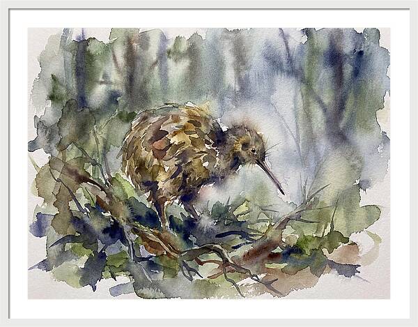 Kiwi Amongst The Foliage