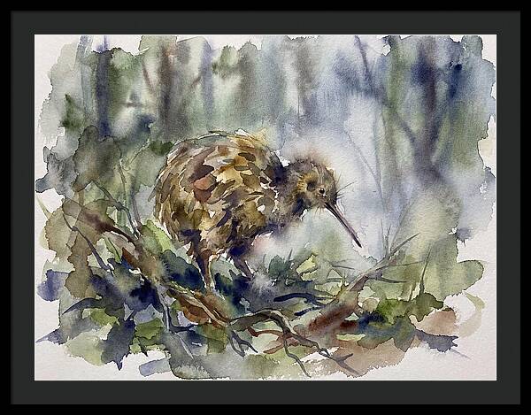Kiwi Amongst The Foliage