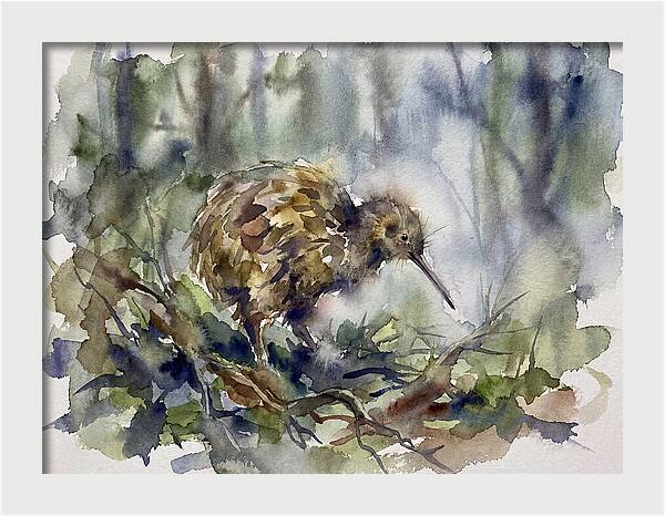 Kiwi Amongst The Foliage