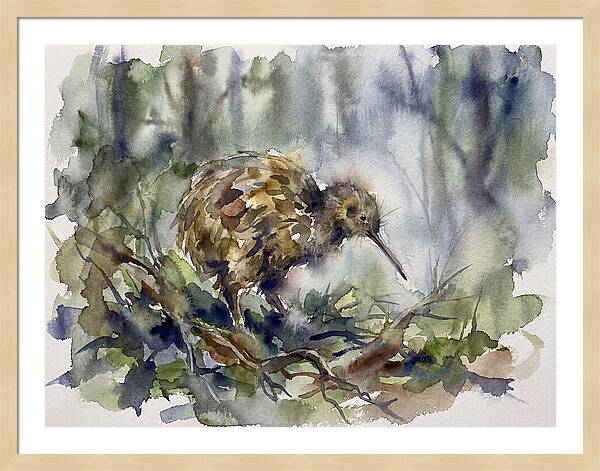 Kiwi Amongst The Foliage