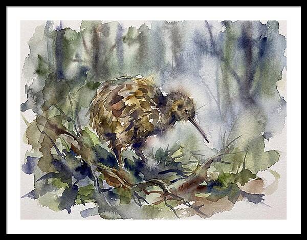 Kiwi Amongst The Foliage