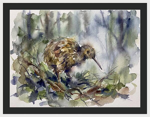 Kiwi Amongst The Foliage