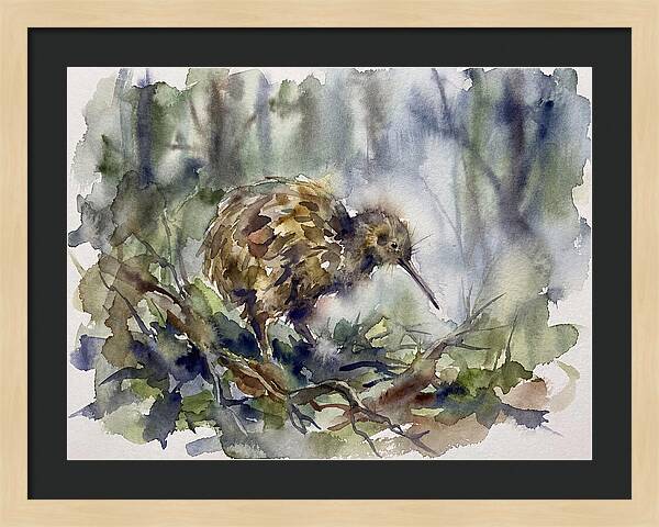 Kiwi Amongst The Foliage