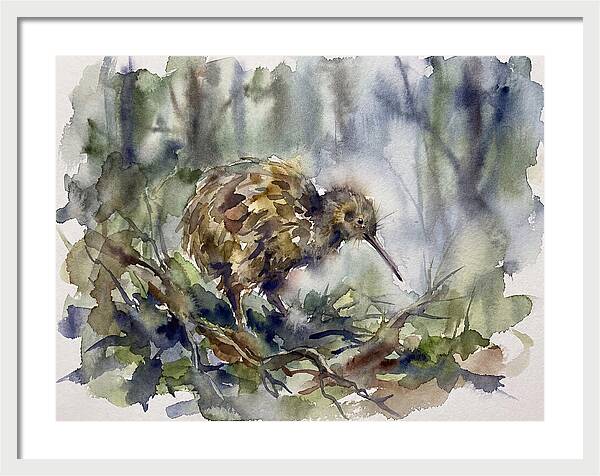 Kiwi Amongst The Foliage