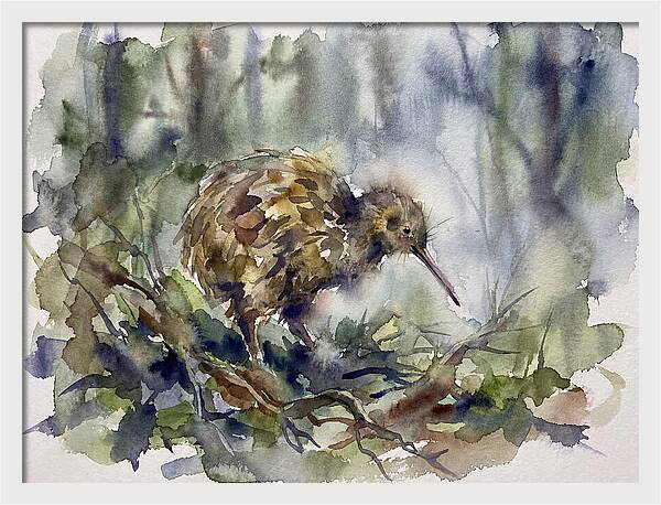 Kiwi Amongst The Foliage