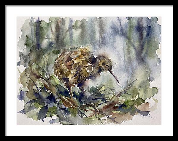 Kiwi Amongst The Foliage