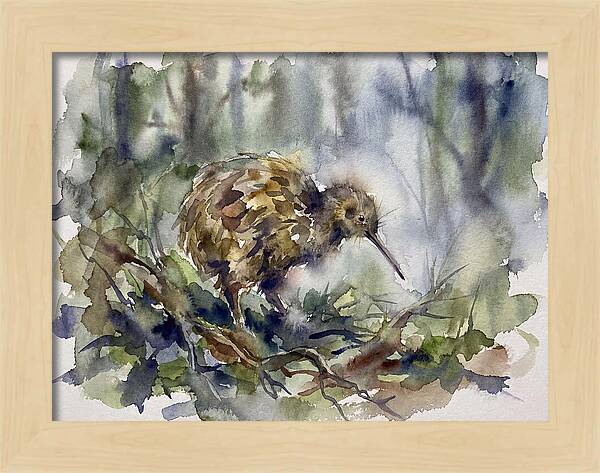 Kiwi Amongst The Foliage