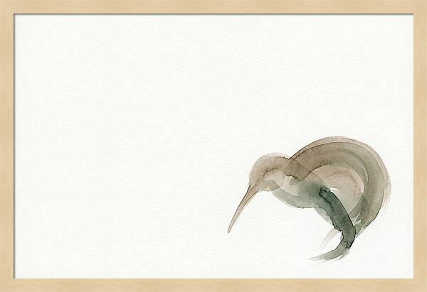 Kiwi In Minimalist Style