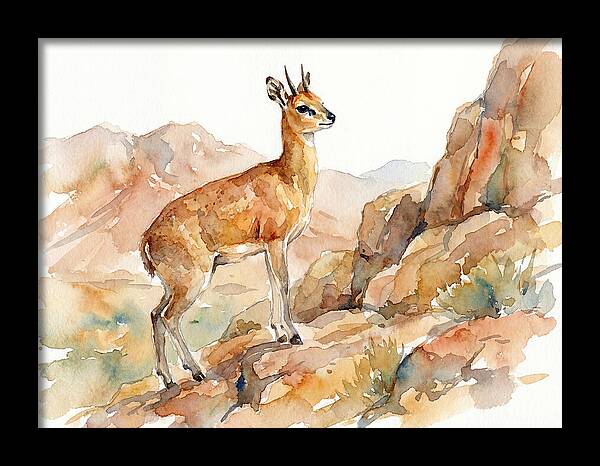 Klipspringer In Watercolor