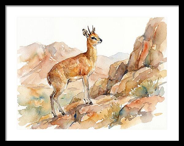 Klipspringer In Watercolor