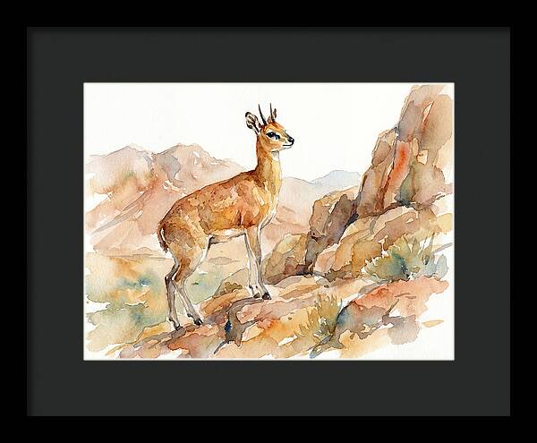 Klipspringer In Watercolor