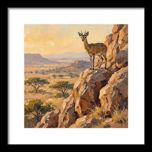 Klipspringer On Rocky Outcrop