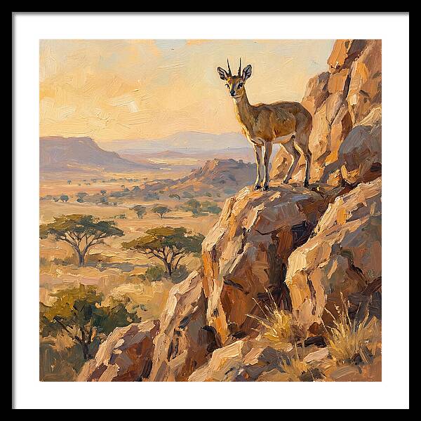 Klipspringer On Rocky Outcrop