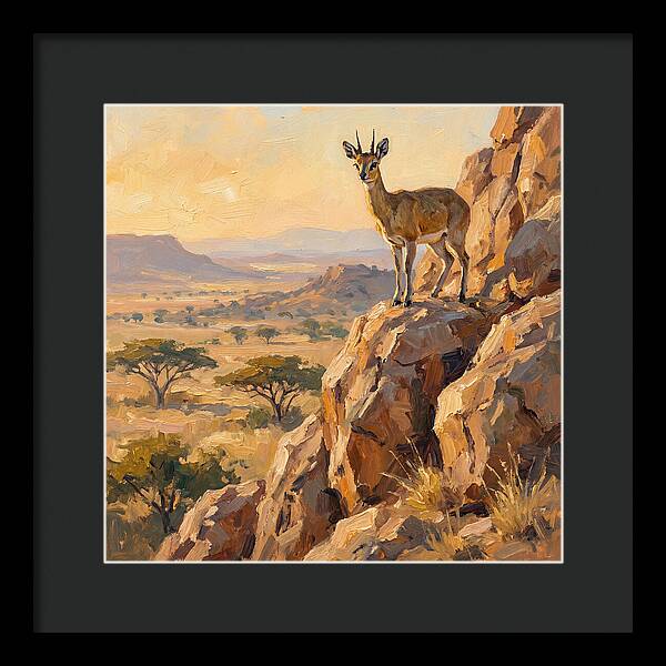 Klipspringer On Rocky Outcrop