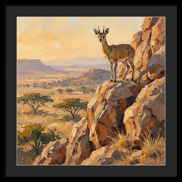Klipspringer On Rocky Outcrop
